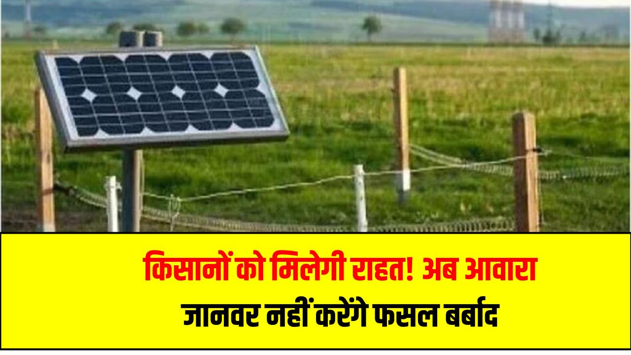 किसानों को मिलेगी राहत! अब आवारा जानवर नहीं करेंगे फसल बर्बाद – सरकार ने शुरू की सोलर फेंसिंग योजना