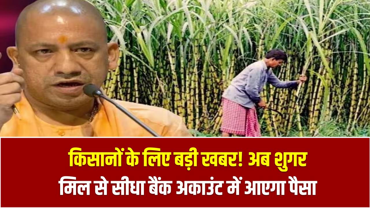 किसानों के लिए बड़ी खबर! अब शुगर मिल से सीधा बैंक अकाउंट में आएगा गन्ने का भुगतान