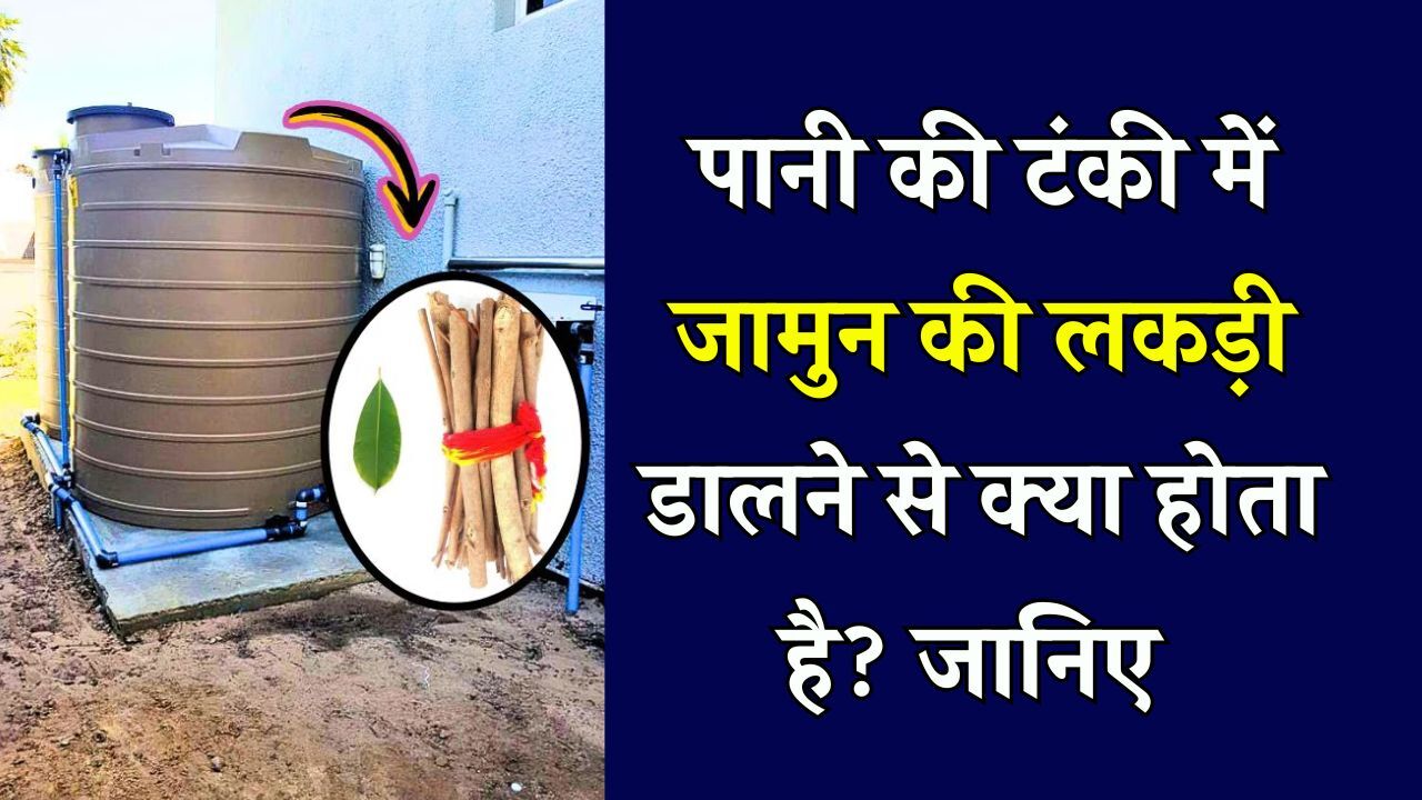टंकी में जामुन की लकड़ी डालने से मिलते हैं ये फायदे, जानें इसके पीछे के वैज्ञानिक कारण