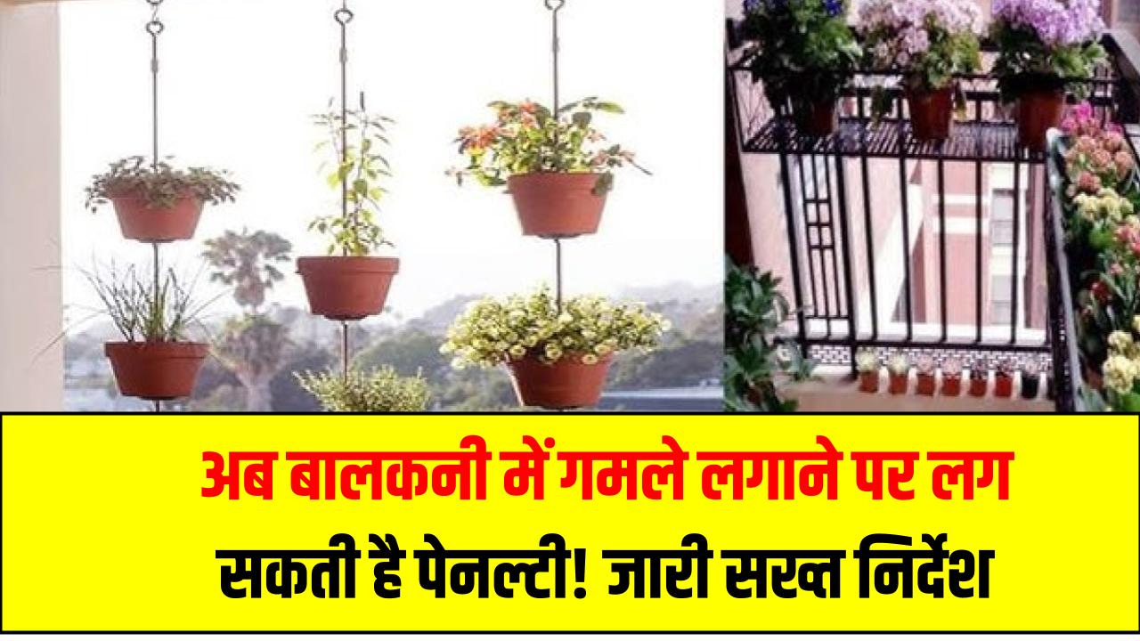 अब बालकनी में गमले लगाने पर लग सकती है पेनल्टी! नोएडा प्राधिकरण ने जारी किए सख्त निर्देश