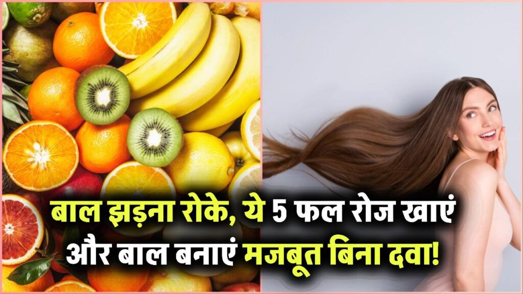बाल झड़ना हो जाएगा बंद! ये 5 फल रोज खाइए और बिना दवा बालों को बनाएं मजबूत 1 बाल झड़ना हो जाएगा बंद! ये 5 फल रोज खाइए और बिना दवा बालों को बनाएं मजबूत