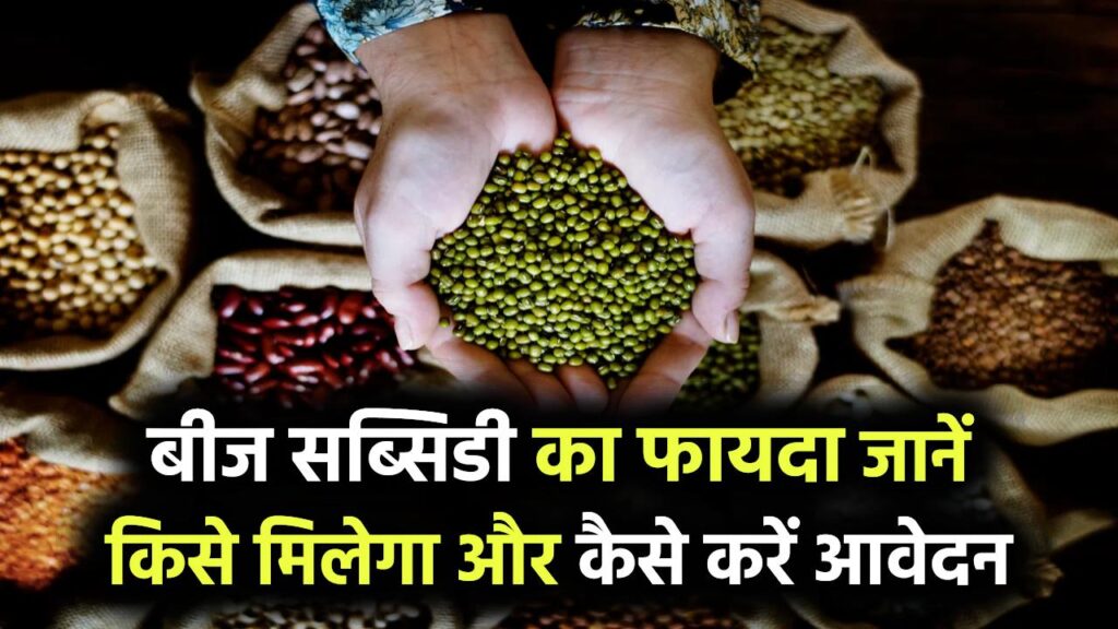 बीजों पर मिल रही है बंपर सब्सिडी! जानिए किन फसलों को मिल रहा फायदा और कैसे करें सरकारी आवेदन 1 बीजों पर मिल रही है बंपर सब्सिडी! जानिए किन फसलों को मिल रहा फायदा और कैसे करें सरकारी आवेदन
